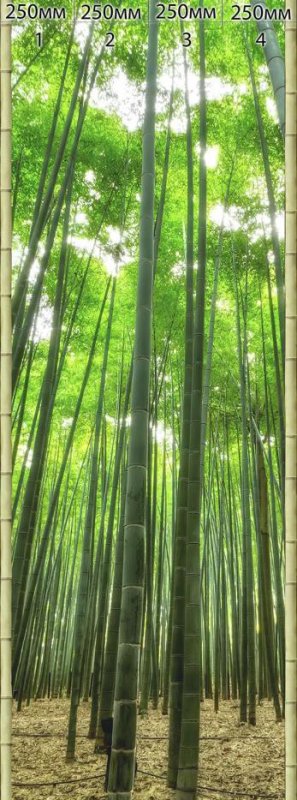 Бамбук в саду