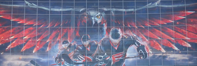 Ястреб Омский Авангард