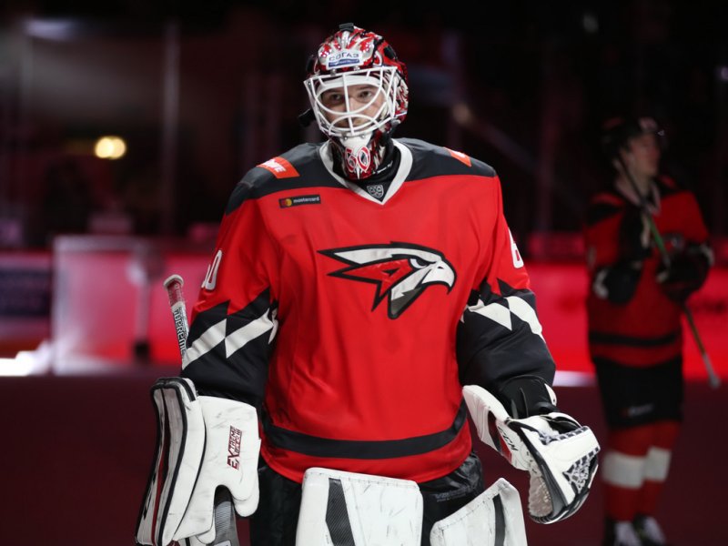 Хоккеисты Авангарда