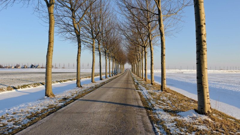 Весенний пейзаж с дорогой