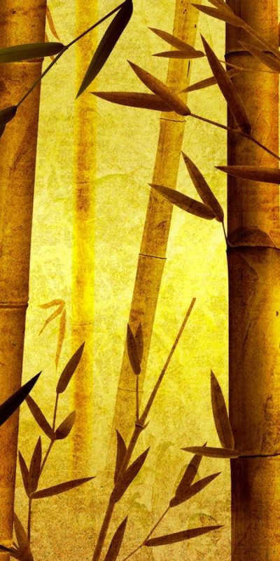 Пейзажи с бамбуком