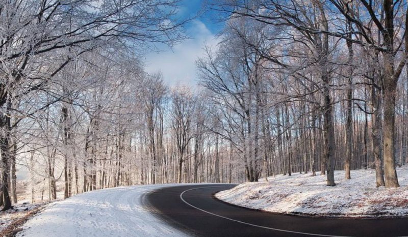 Ранняя Весна