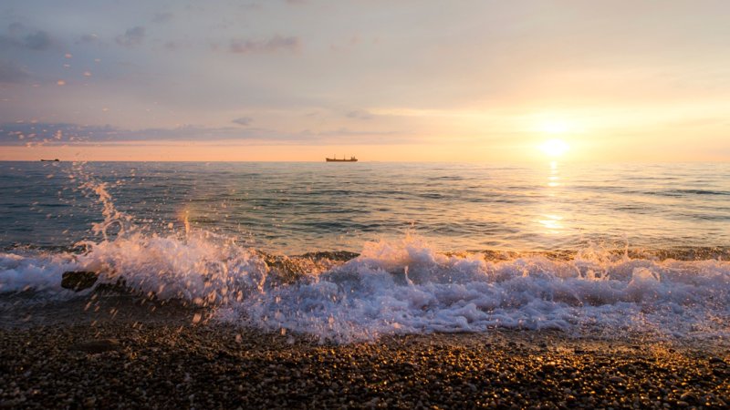 Морской Прибой Сочи