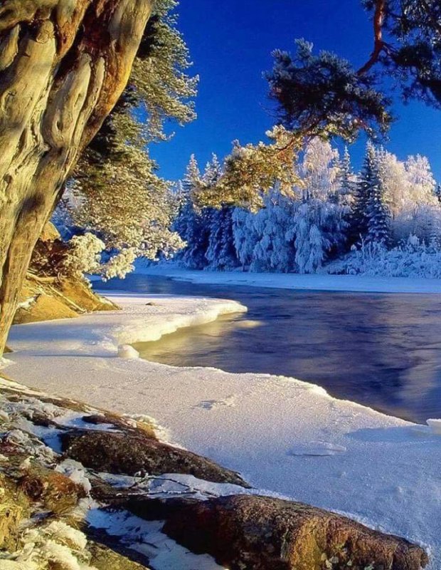 Прекрасная зима