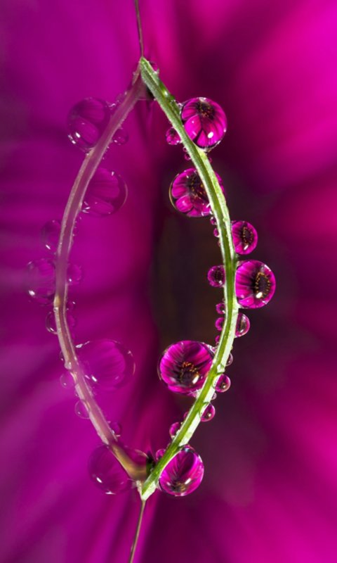 Заставки на телефон красивые