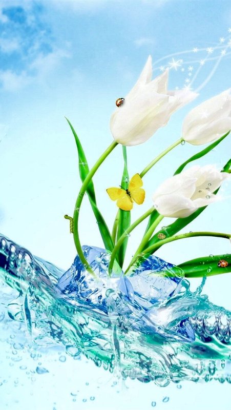 Цветы на фоне воды