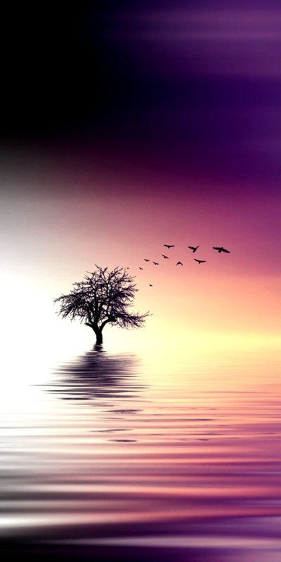 Обои вертикальные