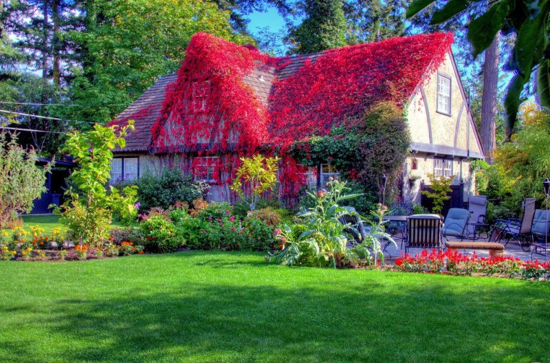 Сад Каролин Айкен. Канада