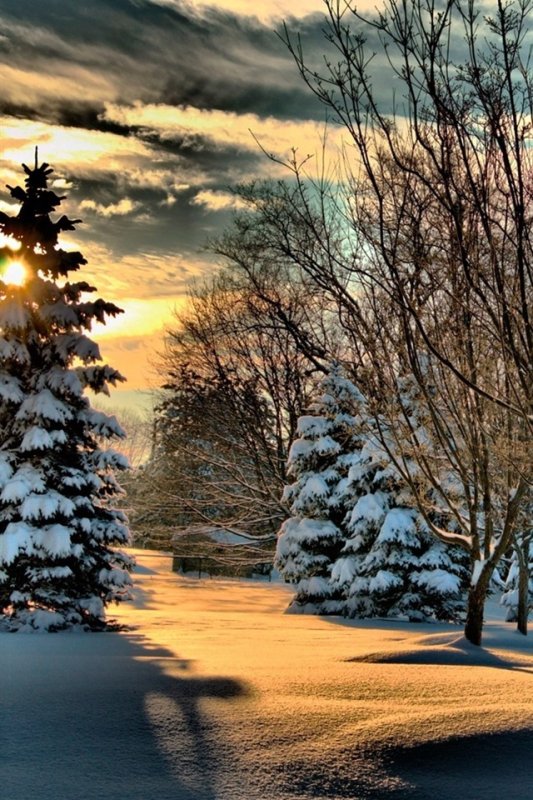 Зимняя тематика