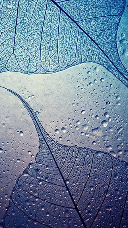 Картинки на телефон на заставку