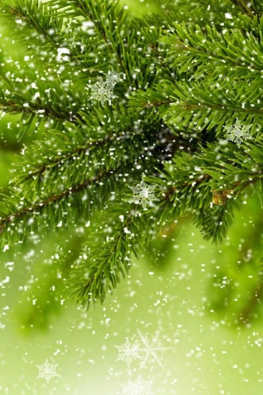 Зимние заставки на телефон