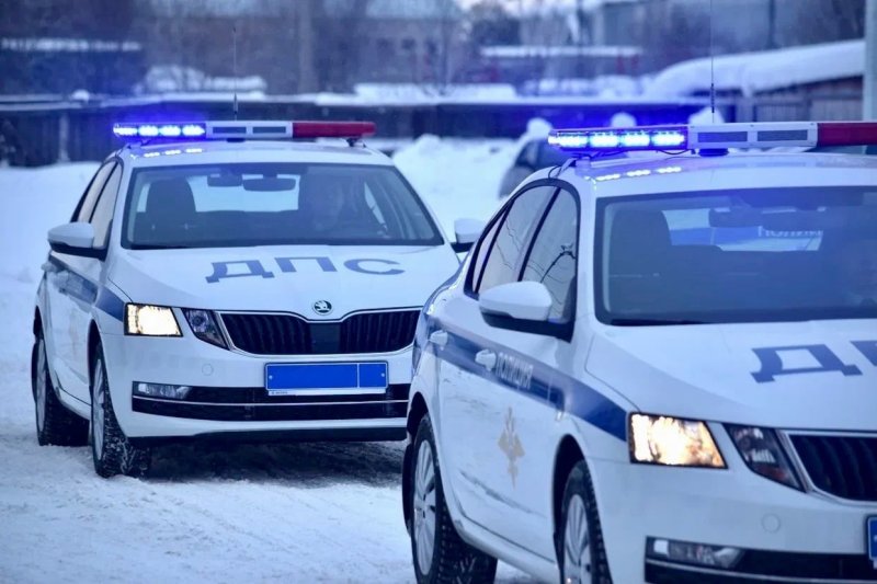 Skoda Octavia а5 полиция