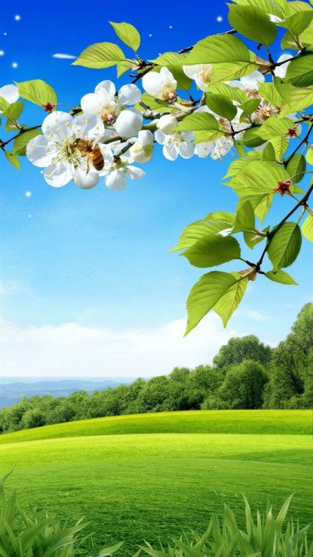 Весенний пейзаж