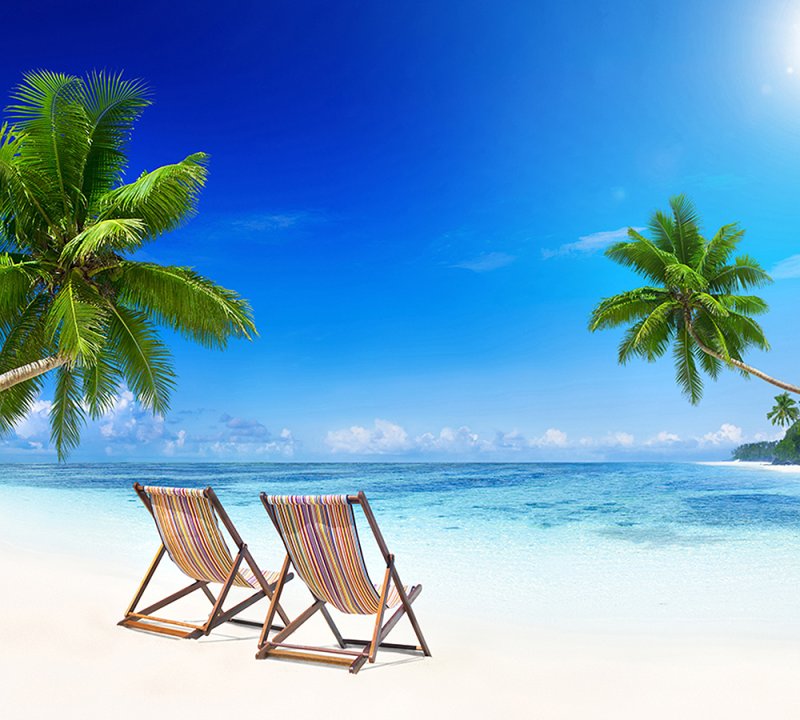 Красивый пляж с пальмами