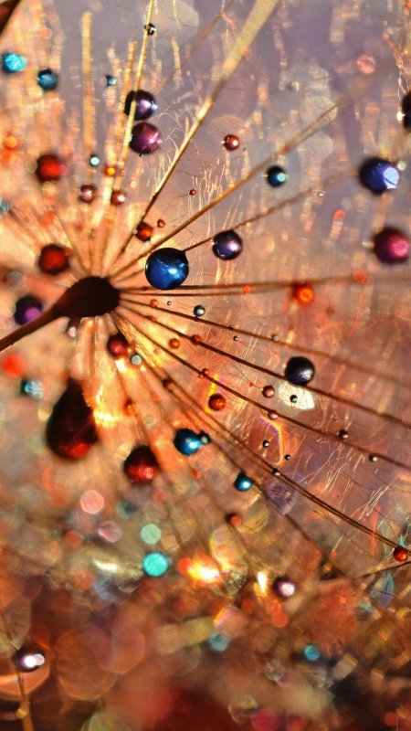 Необычные картинки