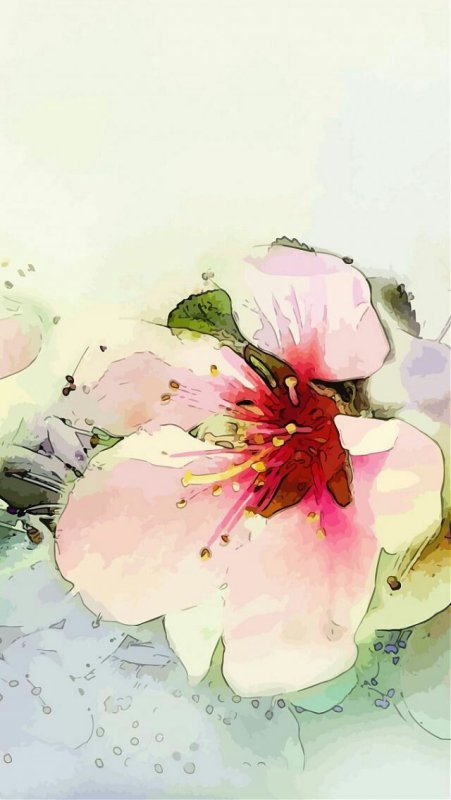 Акварельные цветы