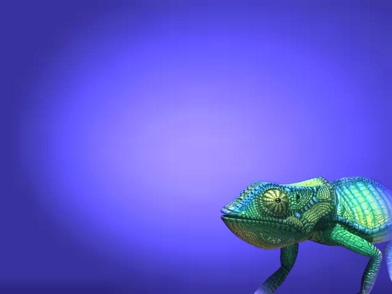 Хамелеон заставка
