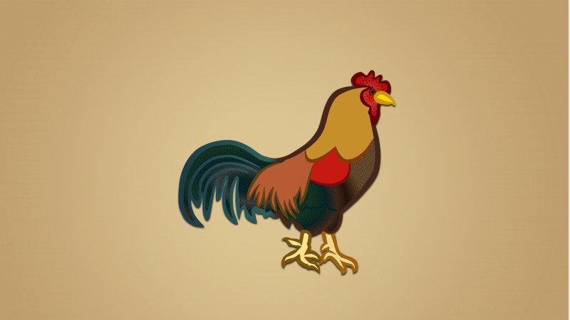 Петух картинка