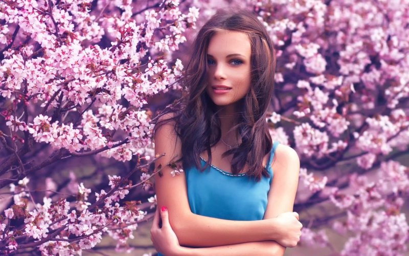 Черри блоссом модель