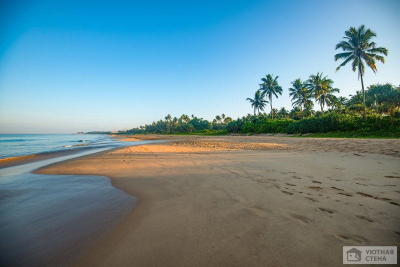 Ваддува Шри Ланка