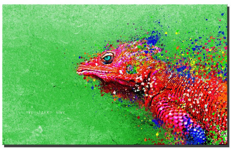 Разноцветная ящерица