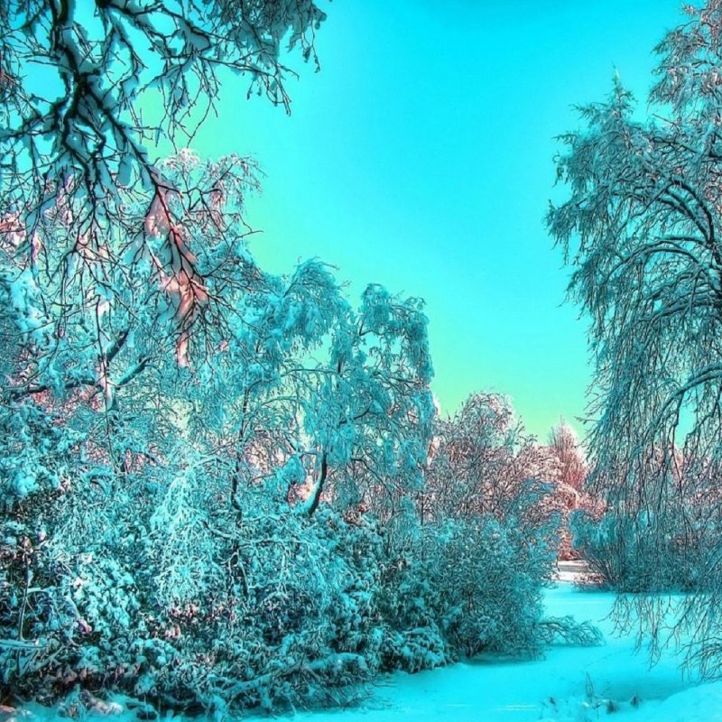 Зимняя природа