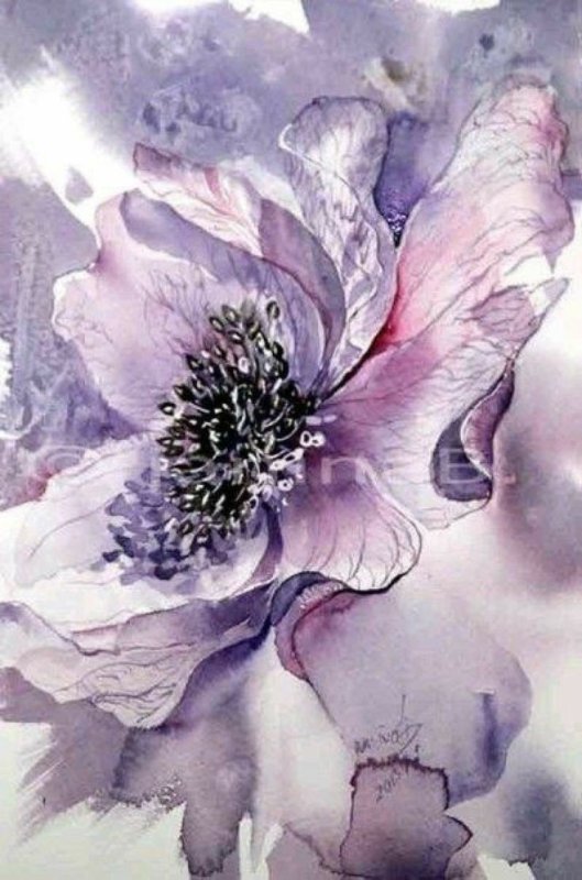 Акварельные цветы