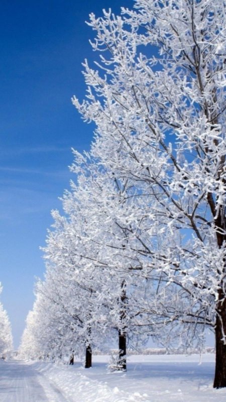 Красивая зима