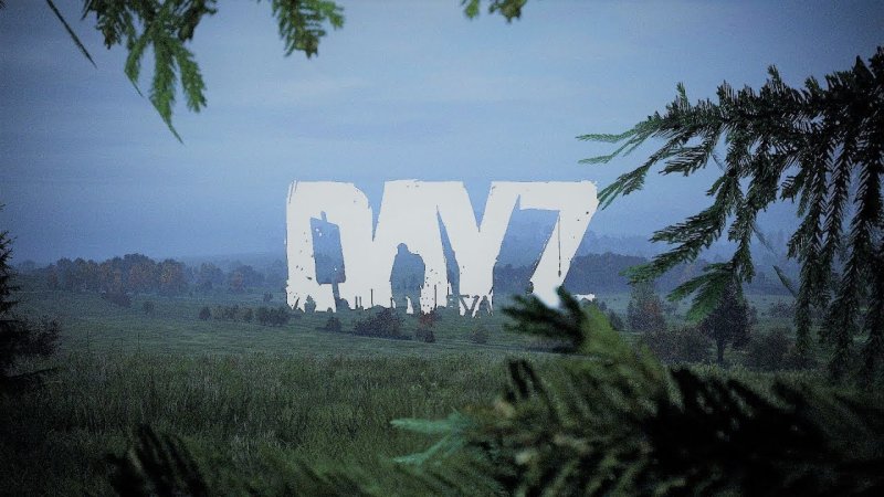 Игра DAYZ 2
