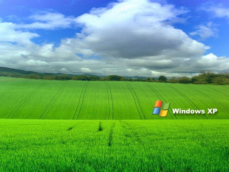 Поле Windows XP