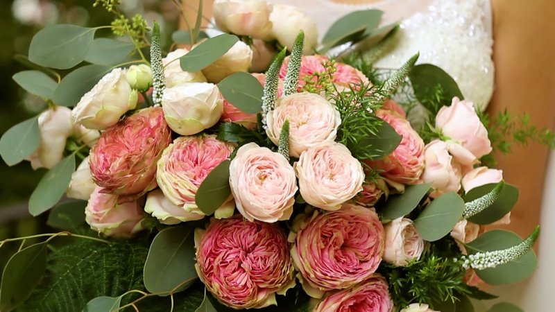 Роза Баттеркап пионовидная