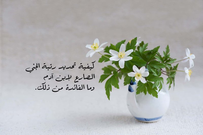 Ветреница Дубравная Подснежник