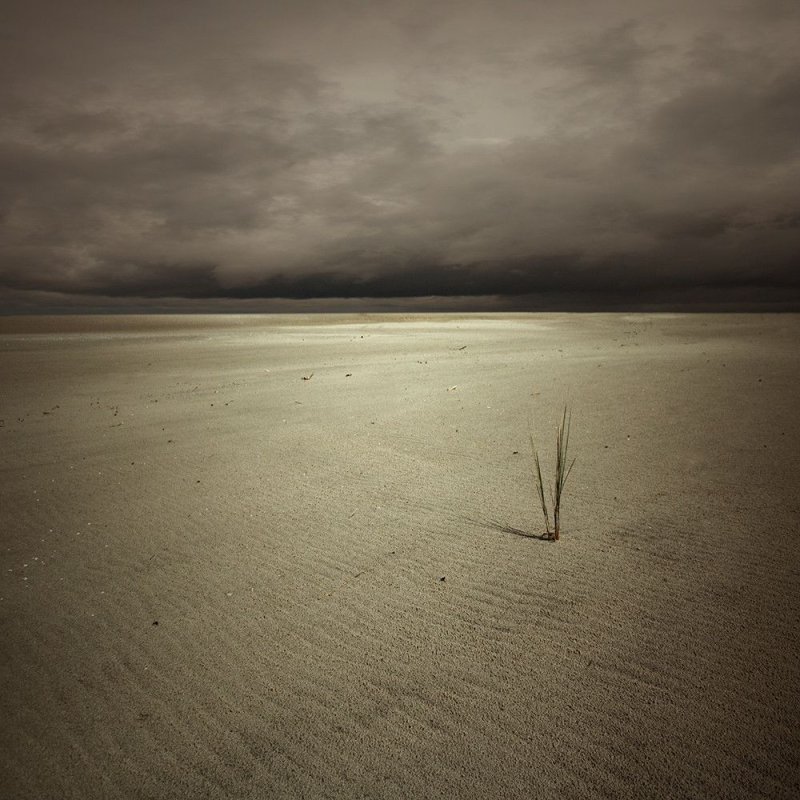 Пейзаж одиночество