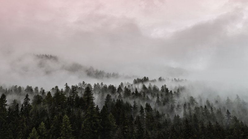 Горы в тумане