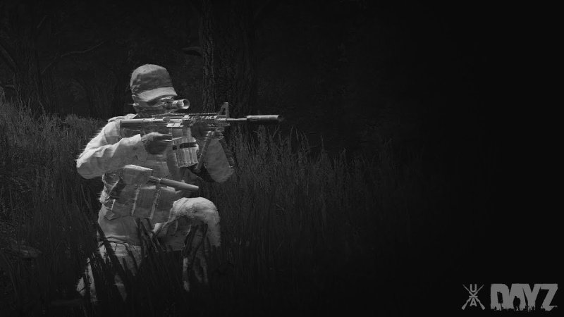 DAYZ Standalone 4к