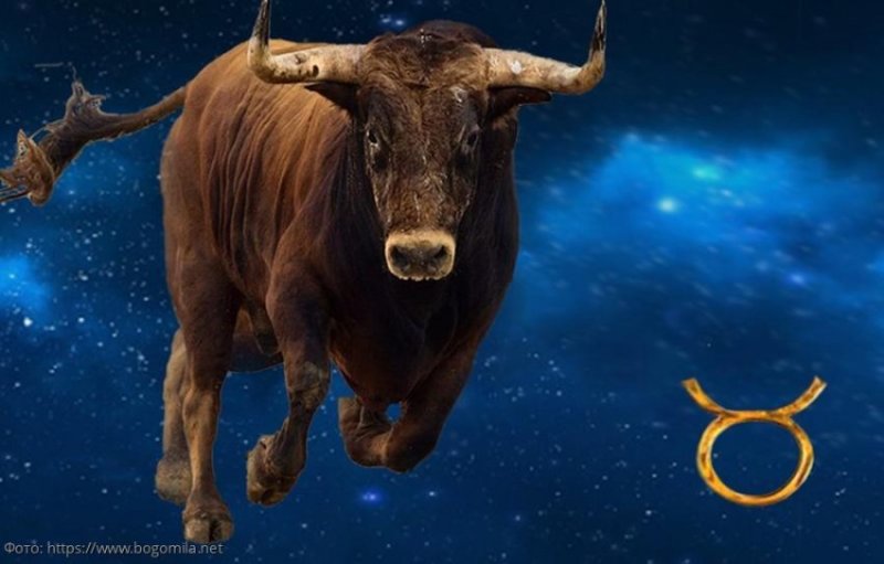 Телец Зодиак