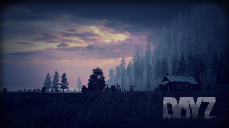 DAYZ шапка
