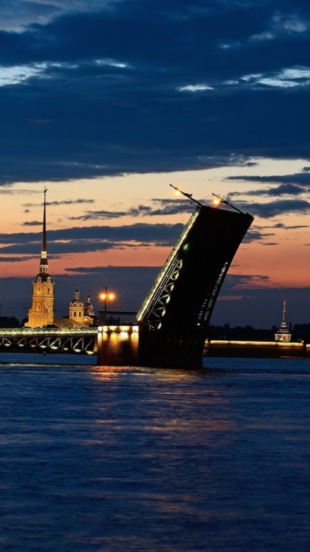 Дворцовый мост Архитектор