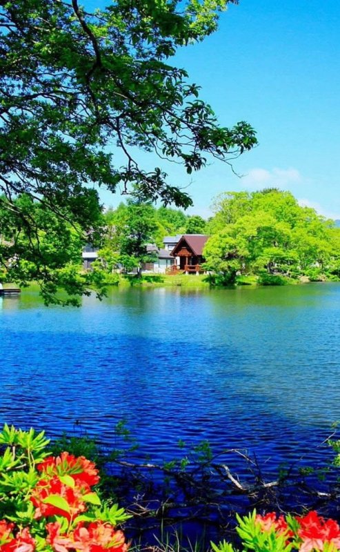 Яркая природа