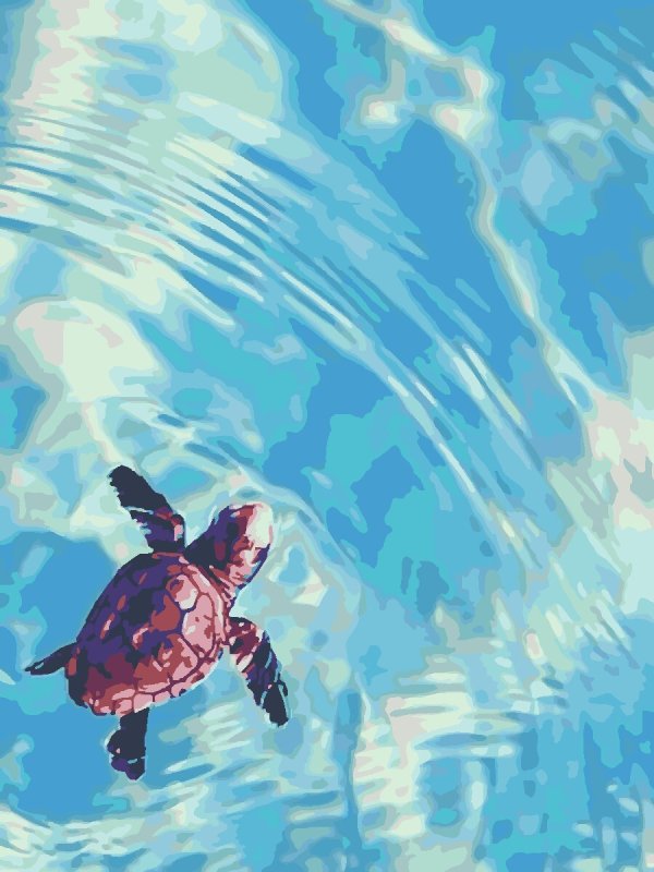 Черепашка в воде