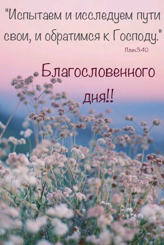 Нежный цветок