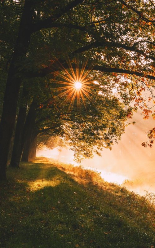 Свет солнца