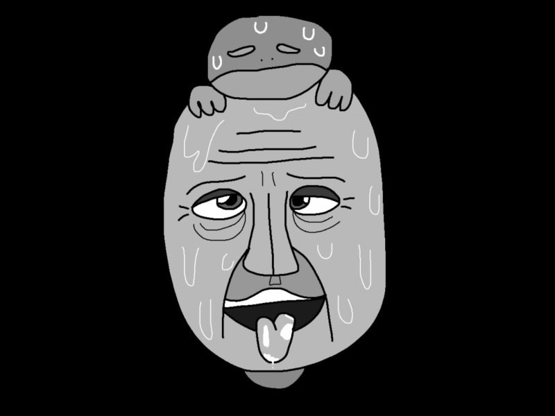 Телекомпания вид представляет 2013