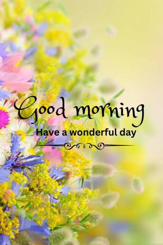 "morning have a nice day"