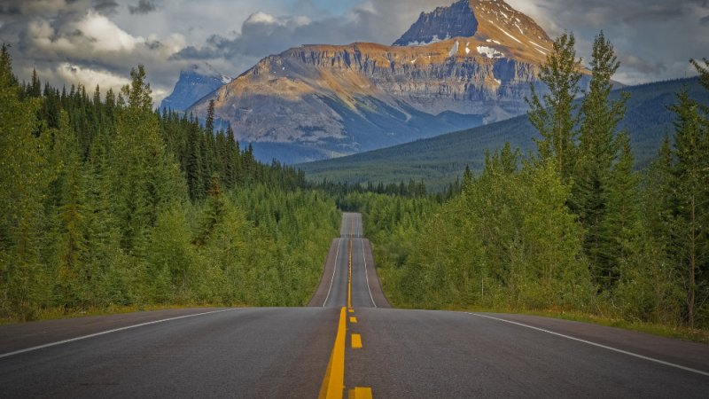 Канада лес дорога горы
