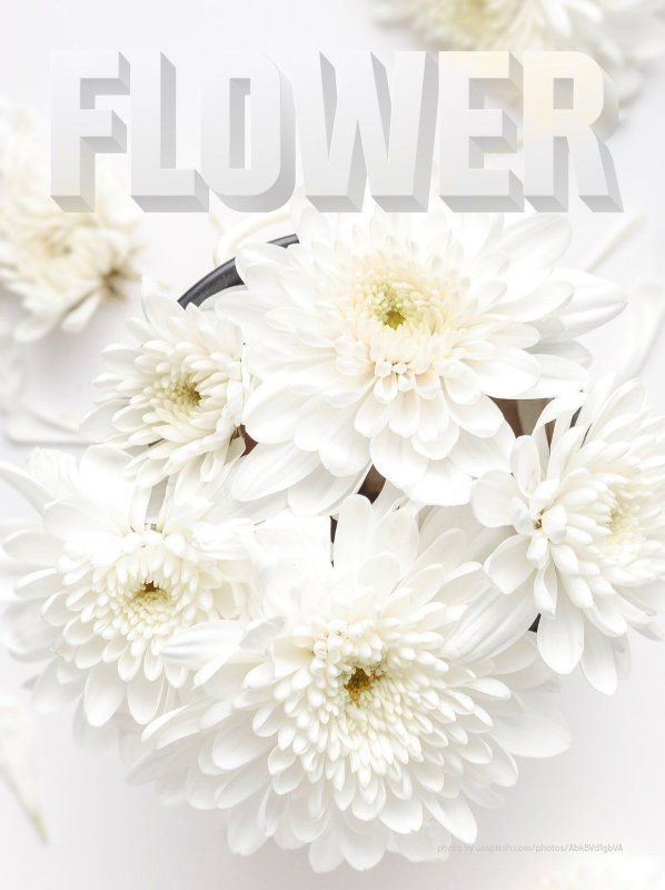 Белые цветы