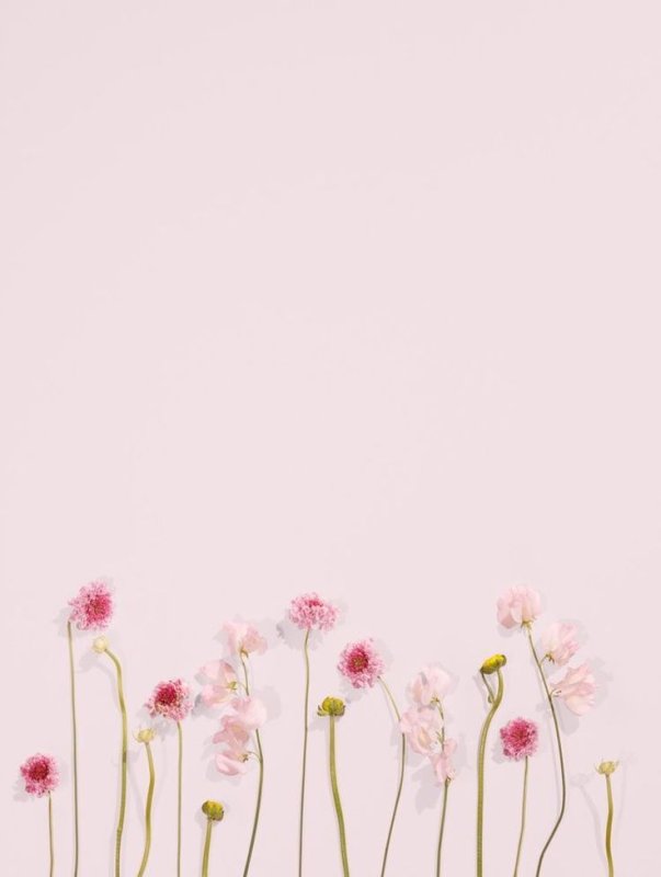 Фон пастельные тона