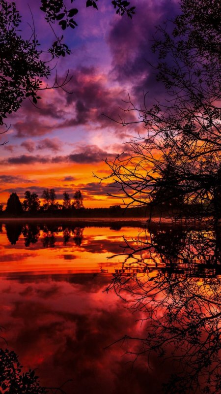 Осень закат