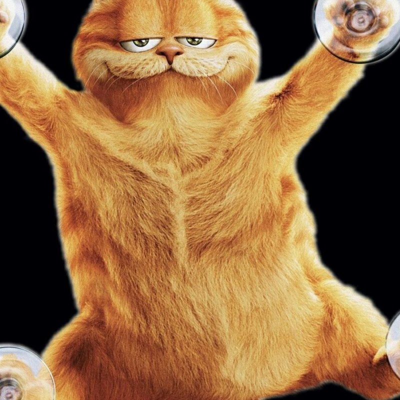 Смешные заставки на телефон