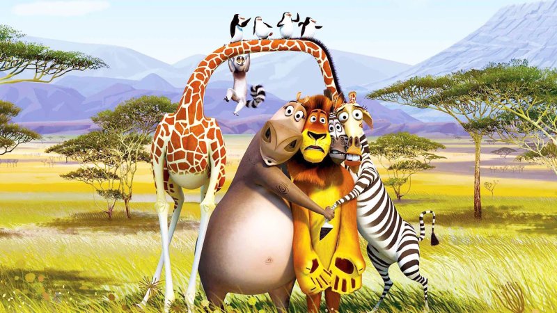 Мадагаскар Зебра Мелман